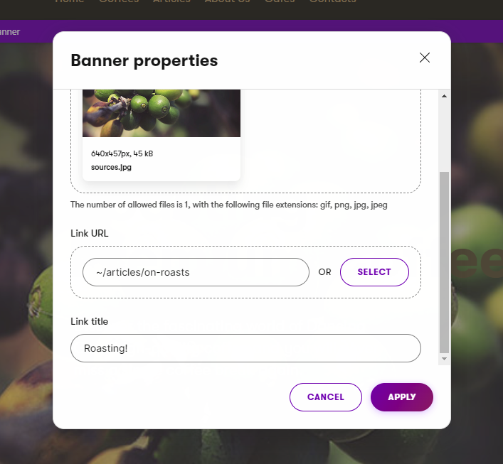 Page Builder Widget properties dialog form