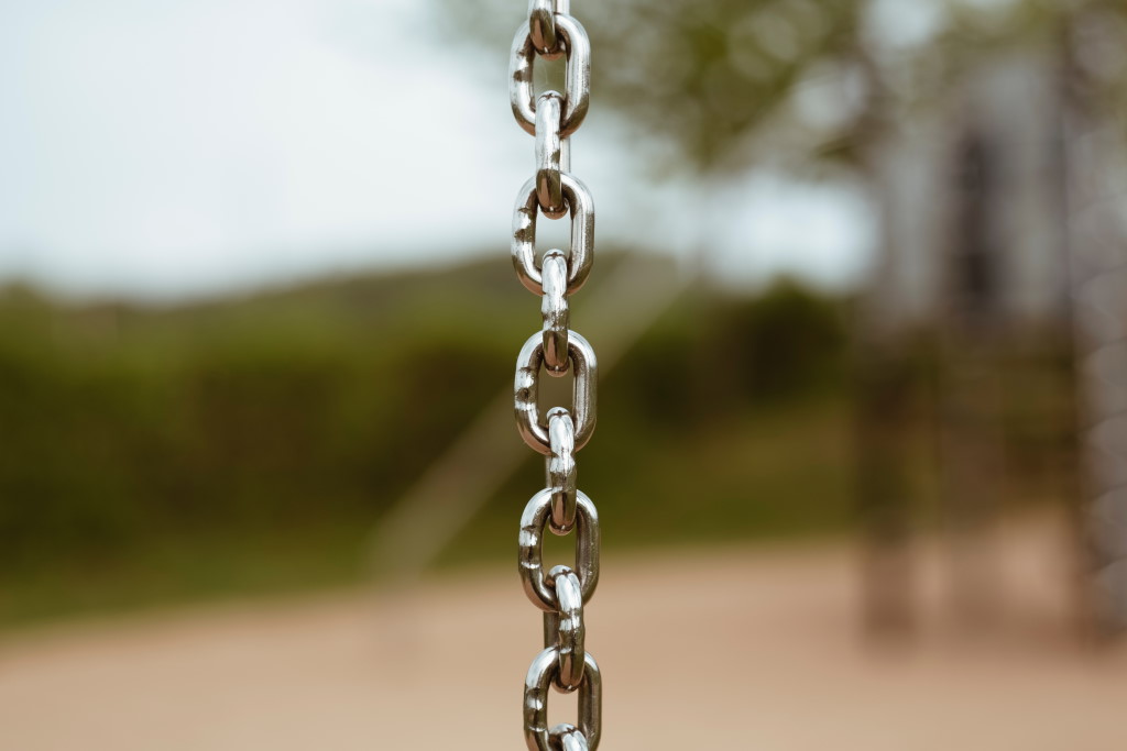 Chain links