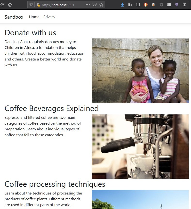Kentico “Article” content being rendered by an ASP.NET Core application in the browser