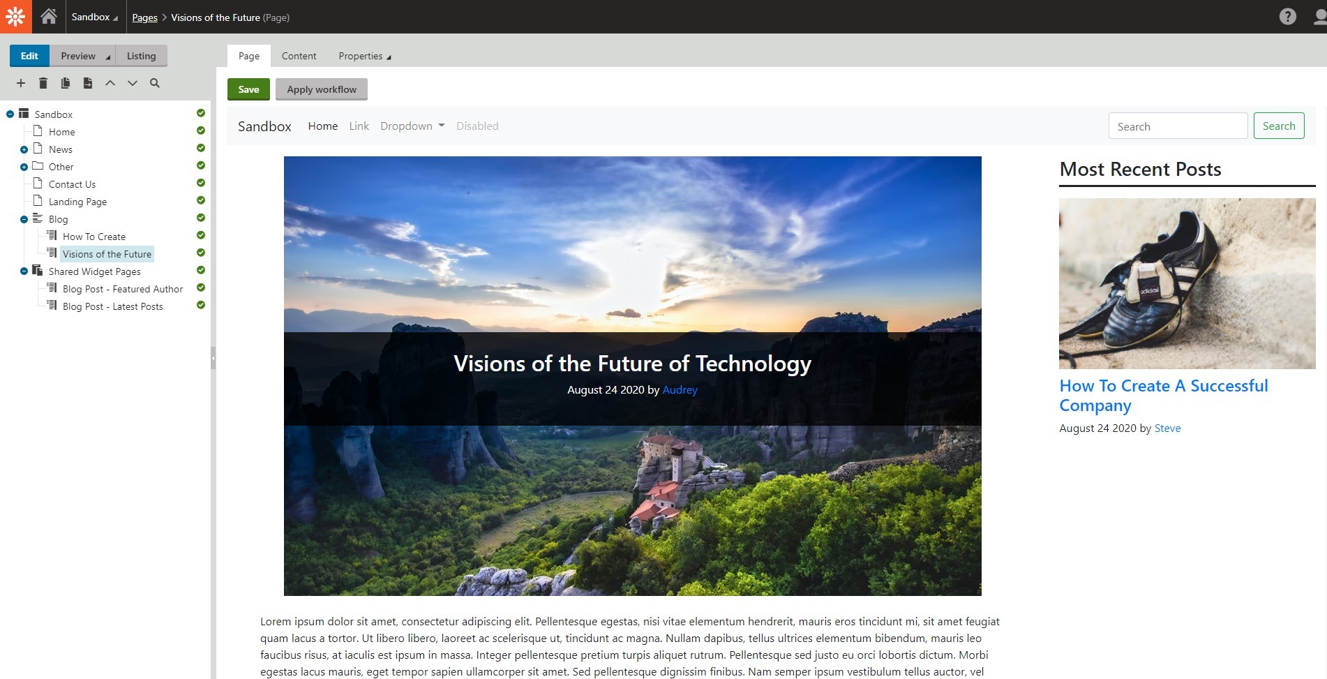 Blog Post Page tab preview with no editable components