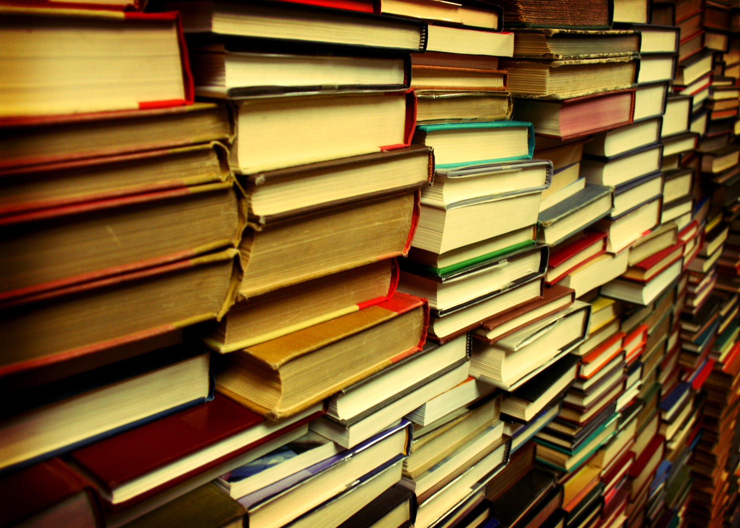 potential web development educational resources